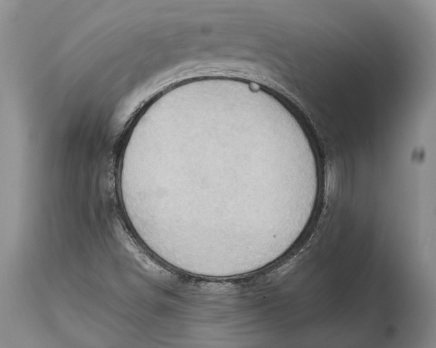 X0000114631498200911101225