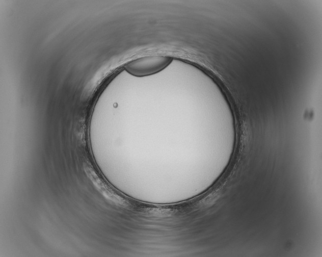 X0000114631499200911101225