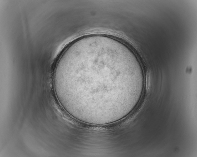 X0000114631501200911101225