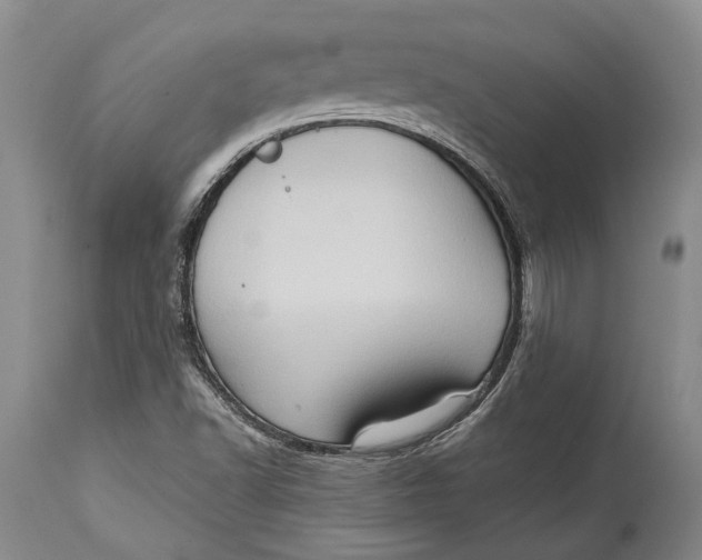 X0000114631502200911101225