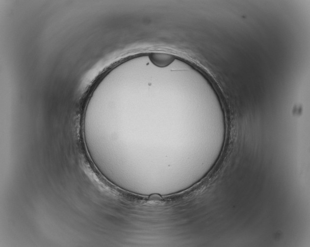 X0000114631503200911101225