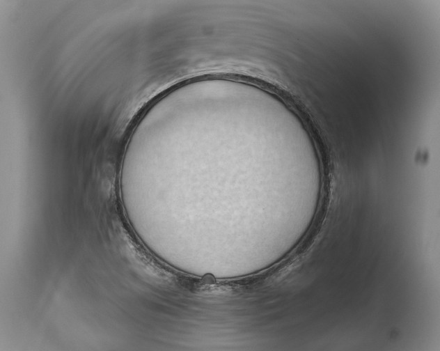 X0000114631505200911101225