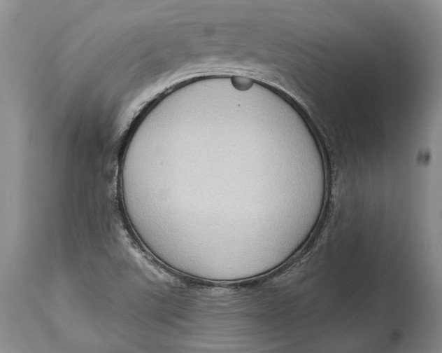 X0000114631507200911101225