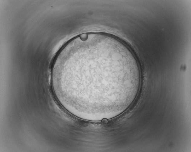 X0000114631509200911101225