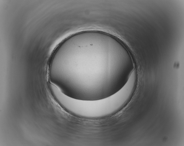 X0000114631510200911101225