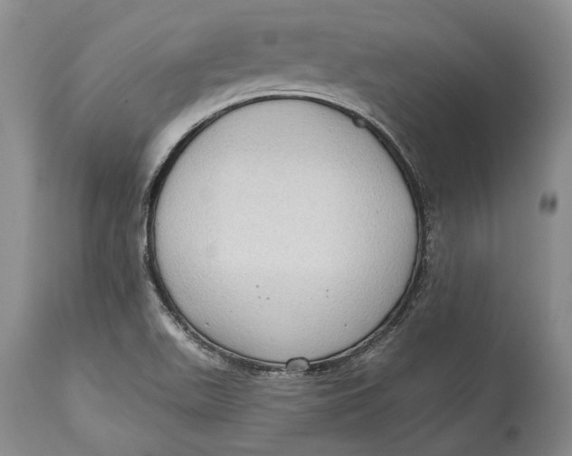 X0000114631511200911101225