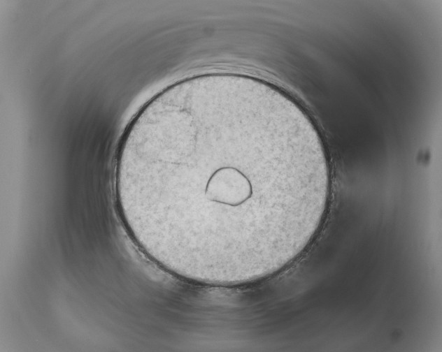 X0000114631514200911101225