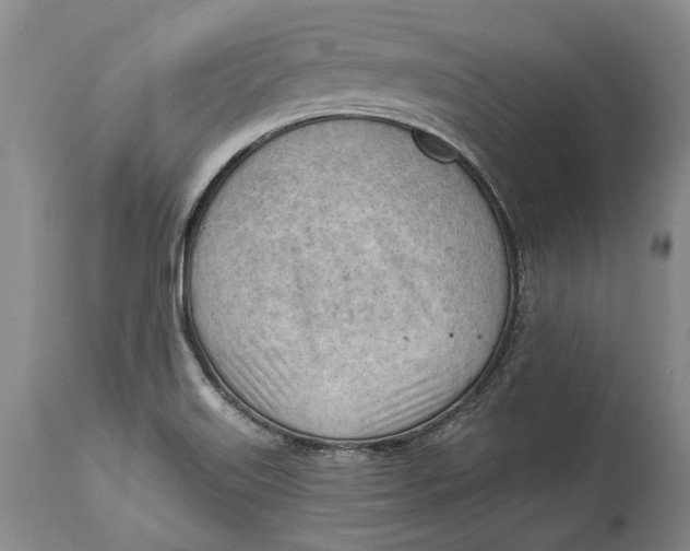 X0000114631515200911101225