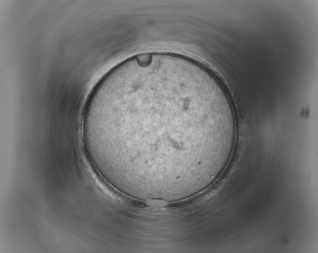 X0000114631517200911101225