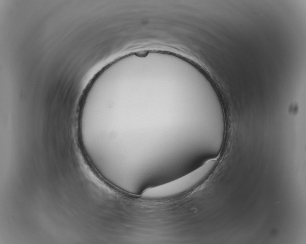 X0000114631518200911101225