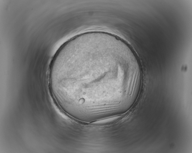 X0000114631519200911101225