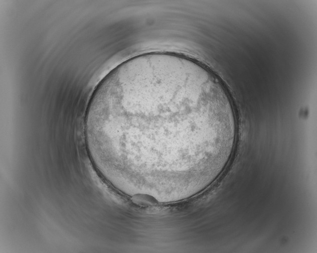 X0000114631521200911101225