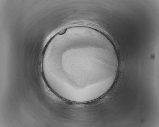 X0000114631522200911101225