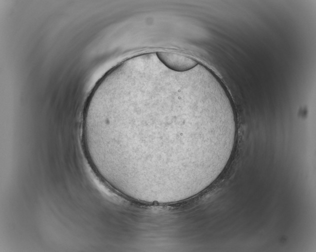 X0000114631523200911101225