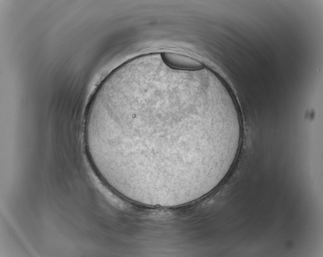 X0000114631525200911101225