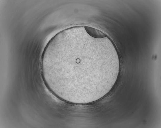 X0000114631527200911101225