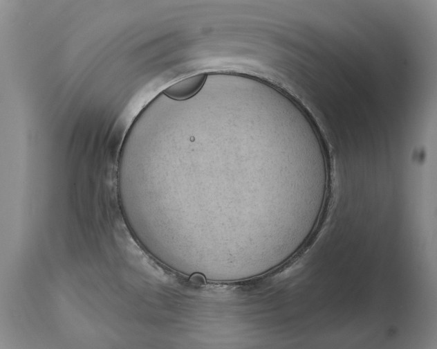 X0000114631529200911101225