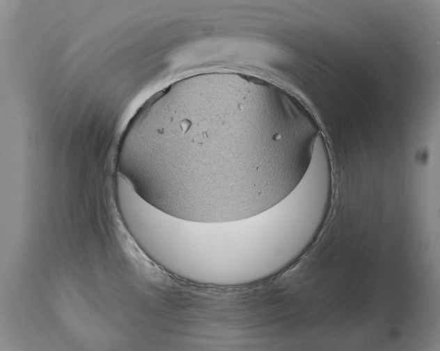 X0000114631530200911101225