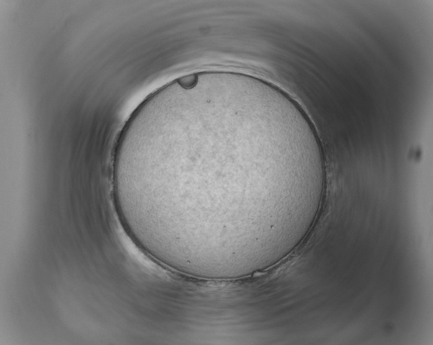 X0000114631531200911101225