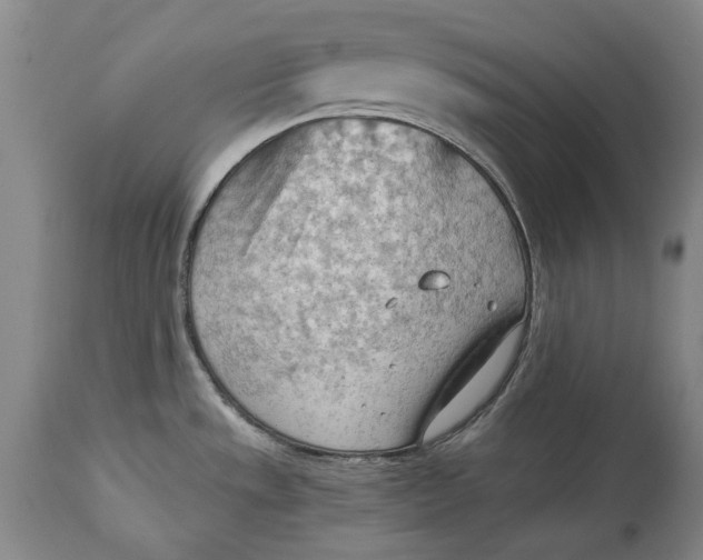 X0000114631533200911101225