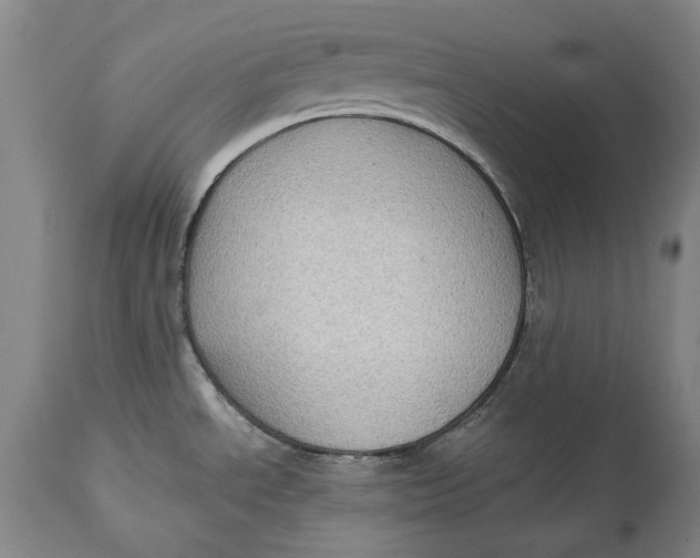 X0000114631534200911101225