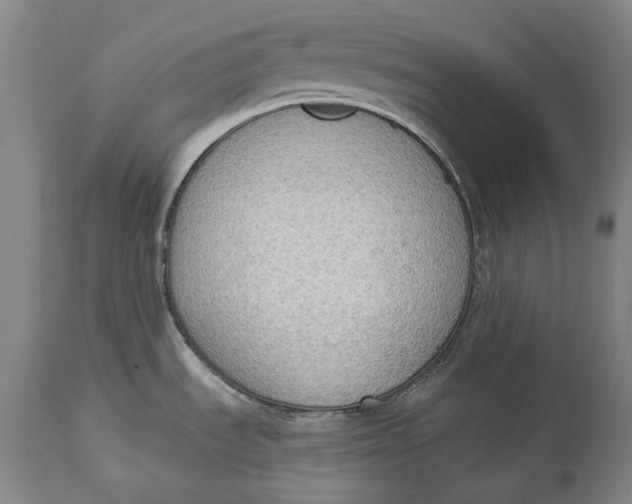 X0000114631535200911101225