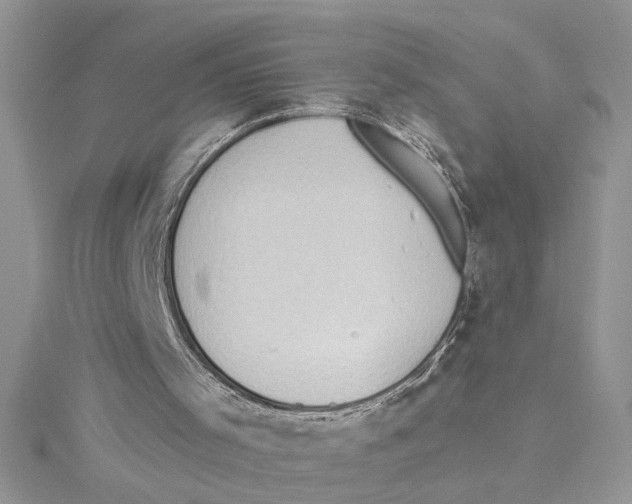 X0000114630001200911171019