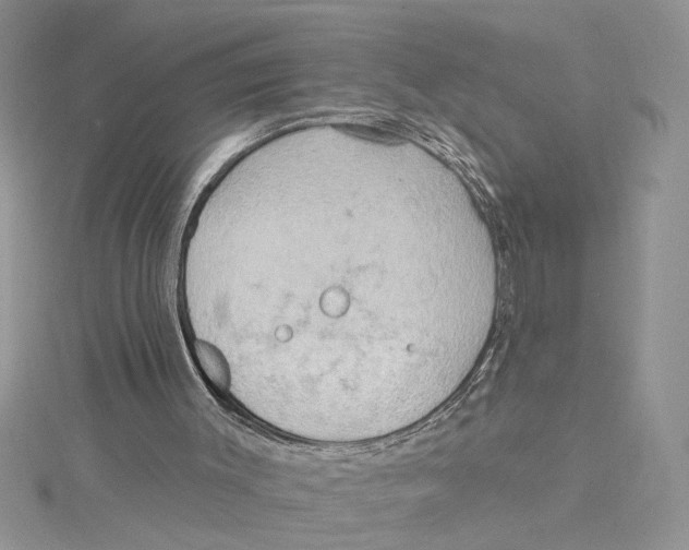 X0000114630003200911171019