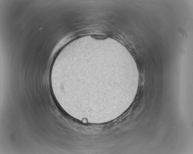 X0000114630004200911171019