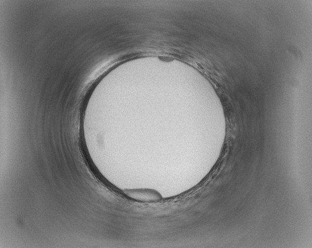 X0000114630005200911171019