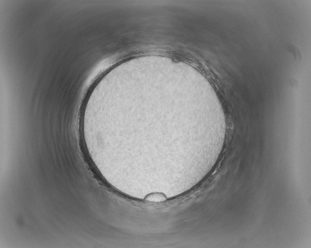 X0000114630006200911171019