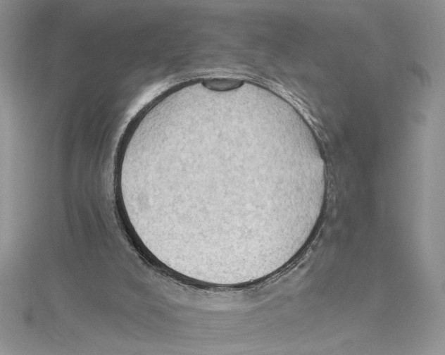 X0000114630008200911171019