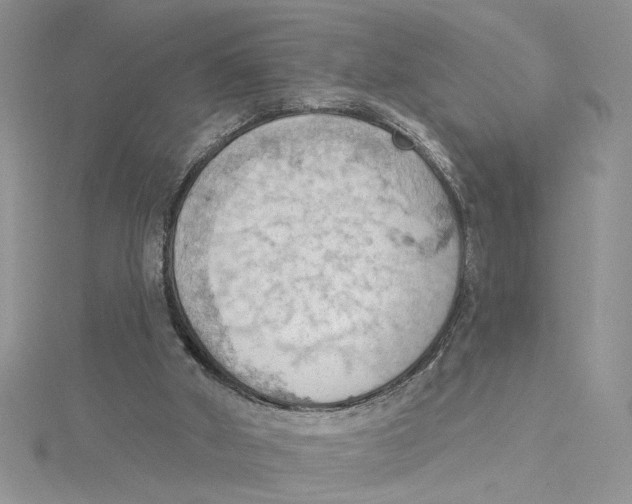 X0000114630010200911171019