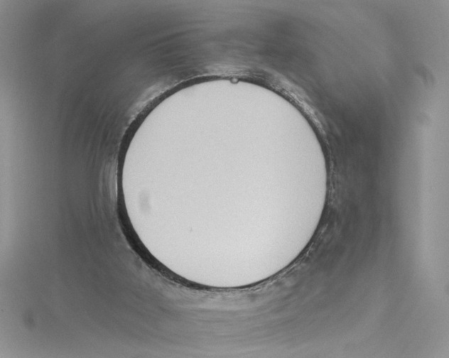 X0000114630011200911171019