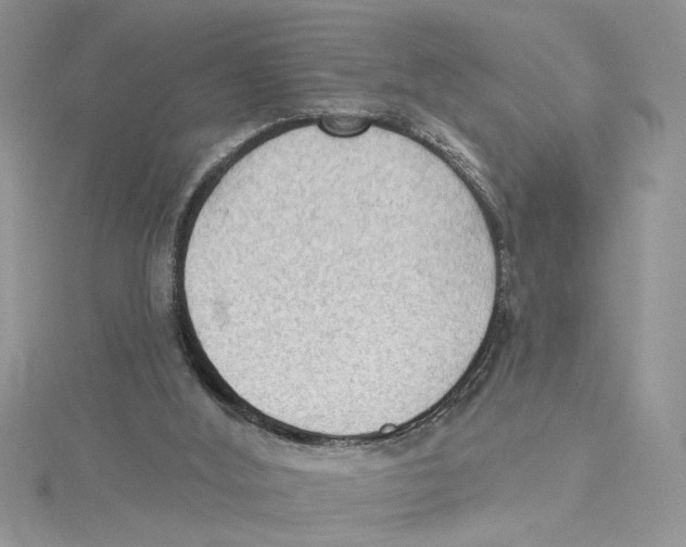 X0000114630012200911171019