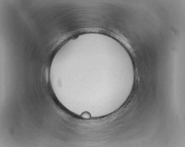 X0000114630013200911171019