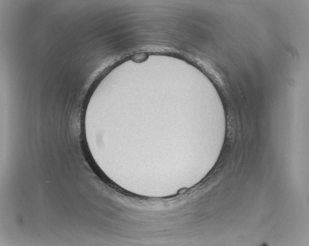 X0000114630015200911171019