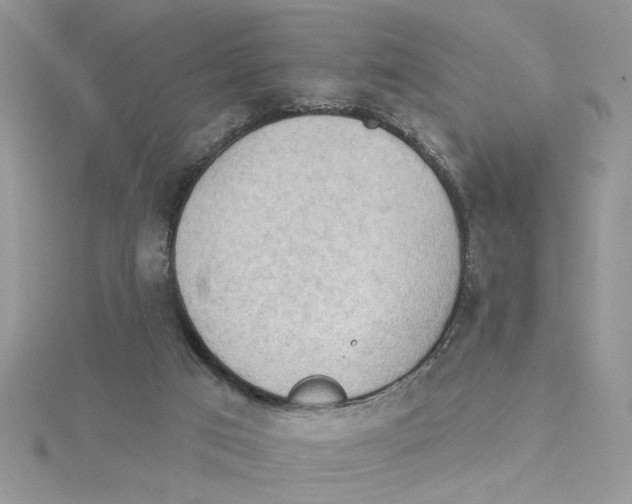 X0000114630017200911171019