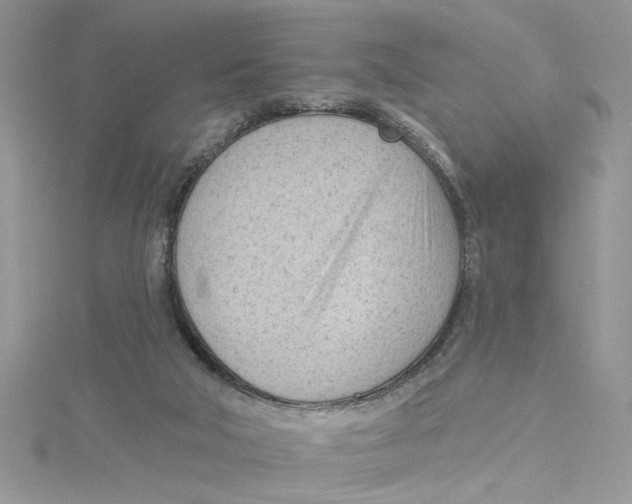 X0000114630018200911171019