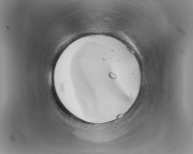 X0000114630019200911171019