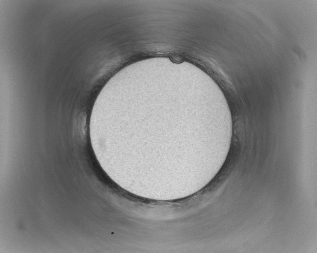 X0000114630024200911171019