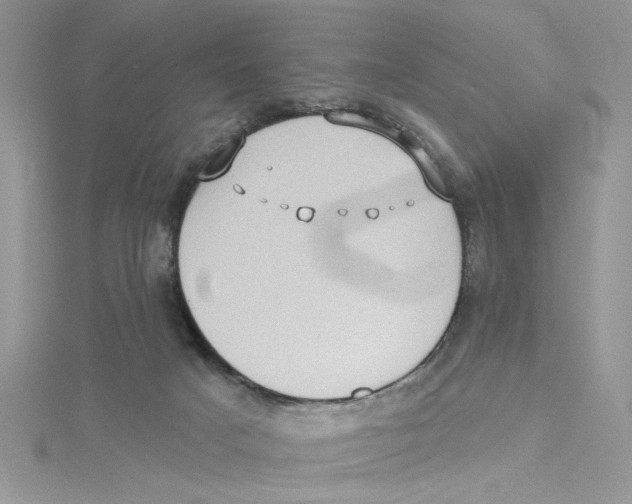 X0000114630025200911171019