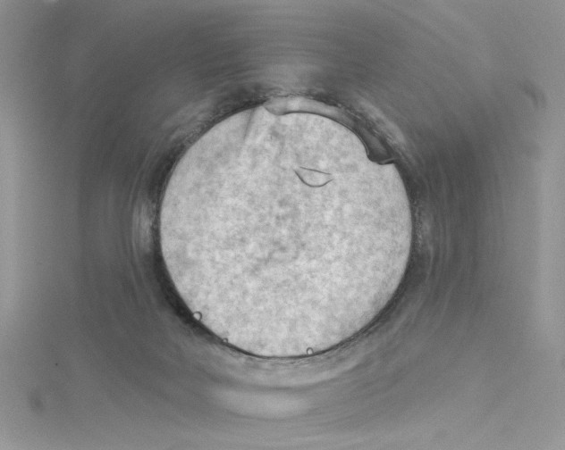 X0000114630026200911171019