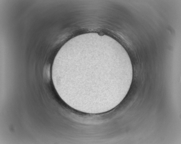 X0000114630028200911171019