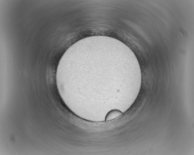 X0000114630038200911171019