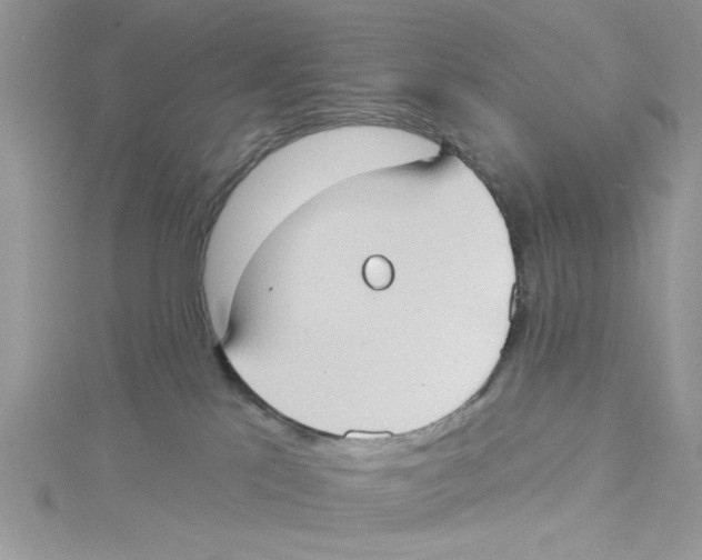 X0000114630041200911171019