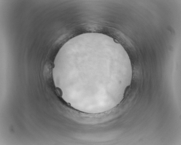 X0000114630043200911171019