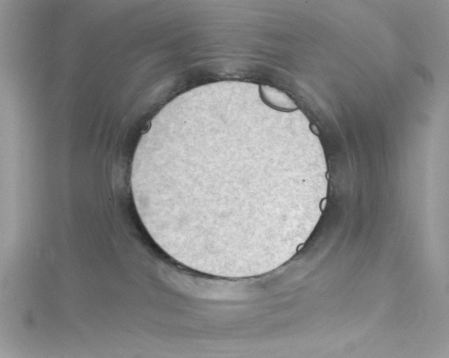 X0000114630044200911171019