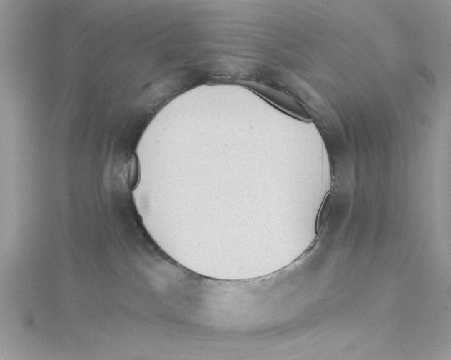 X0000114630045200911171019