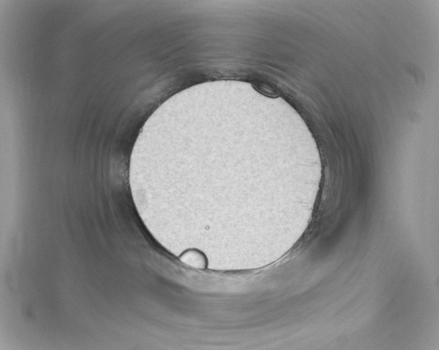 X0000114630048200911171019